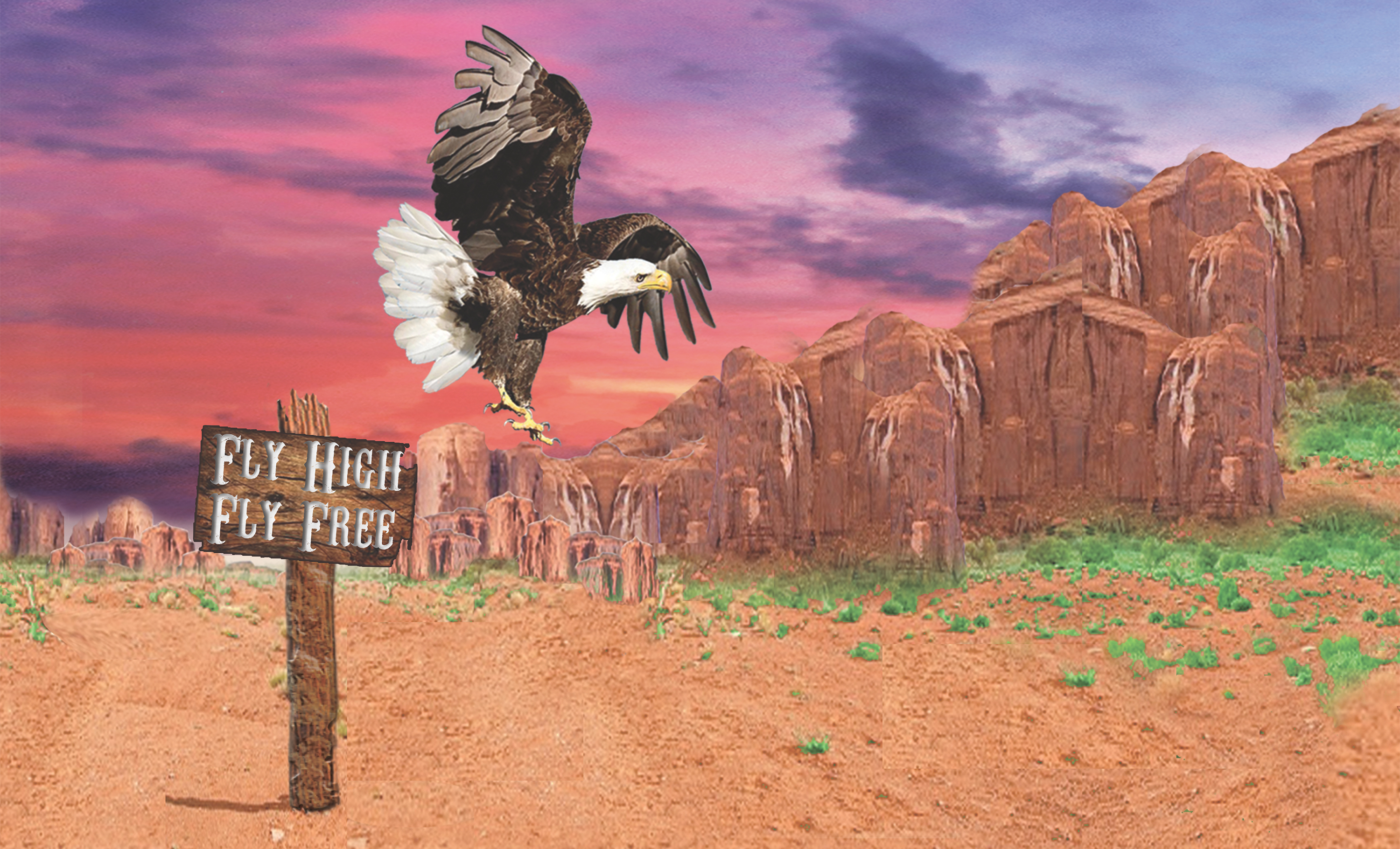 Free Bird Cover Artwork